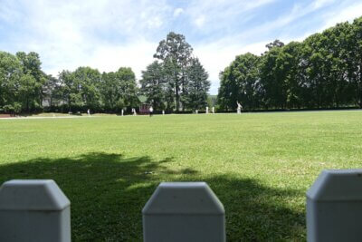 Elston bowls Jeppe to victory, Muir bats Michaelhouse to win over PBHS