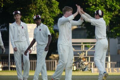 Tim Saulez is congratulated after picking up a wicket late in the DHS innings as the host's challenge fell apart.