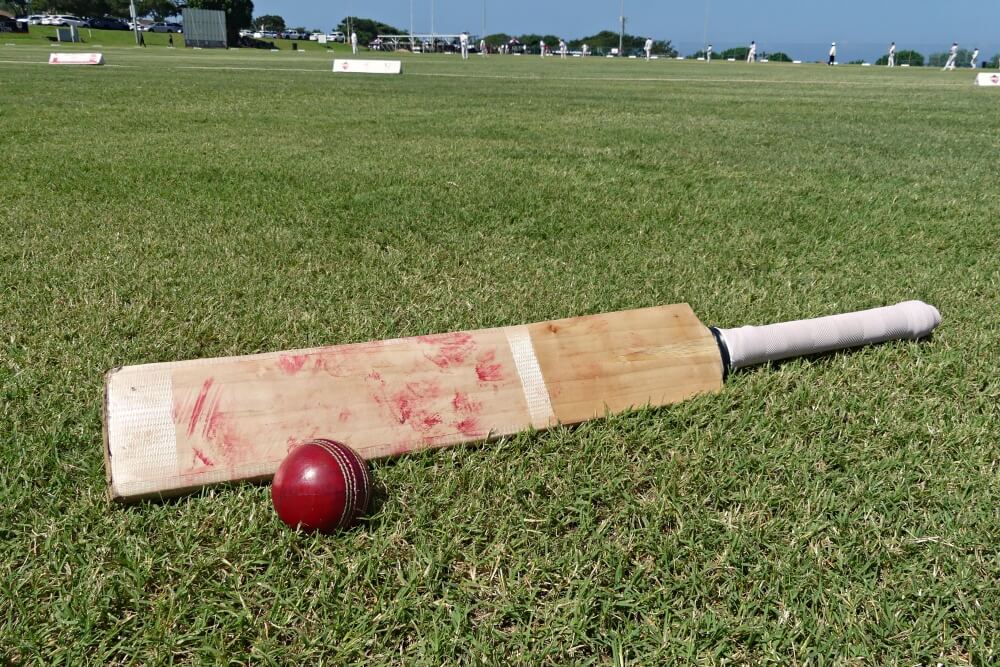 Lions, Impalas and Badgers shine in action-packed T20s in Gqeberha