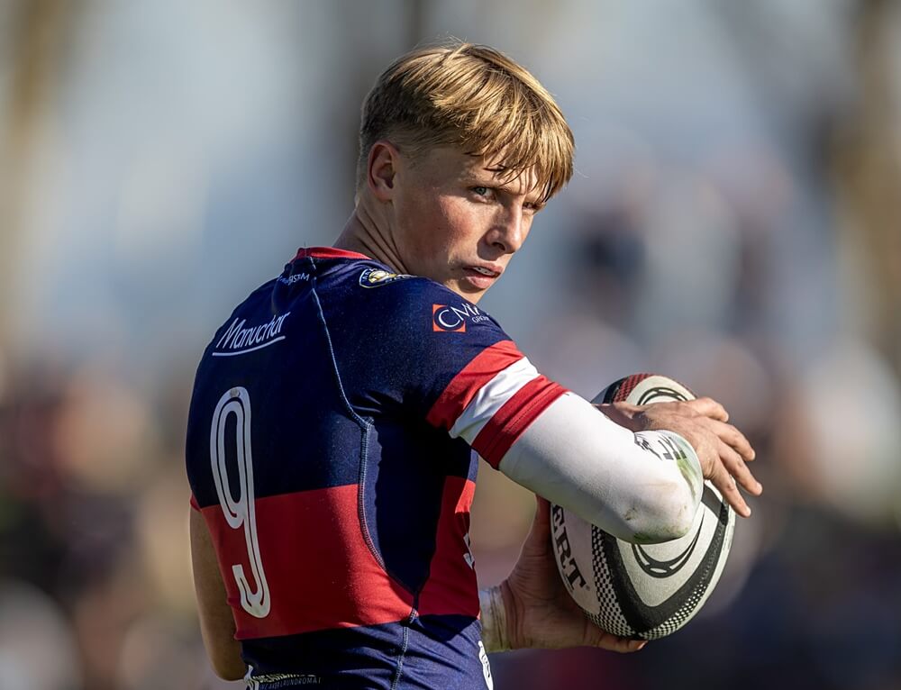 Two new faces for Absa Wildeklawer of 2026