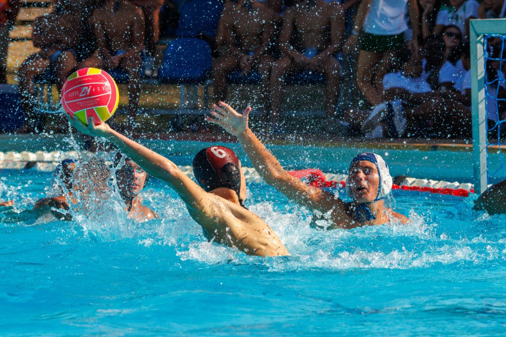 Heavy hitters lead the way as SAC Shield reaches boiling point