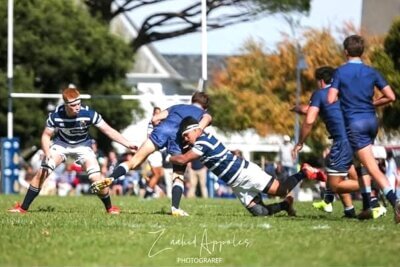 Wynberg’s maul rolls against Bishops, Bellville beats Milnerton