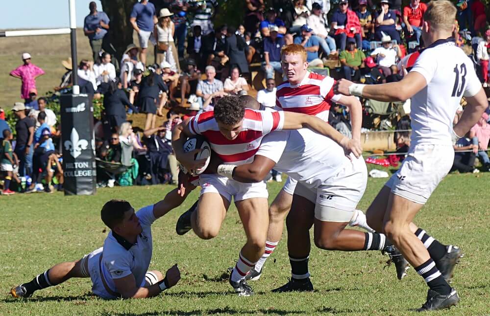 Hilton College and Michaelhouse favoured in Gauteng